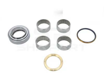 4.91933 King pin kit