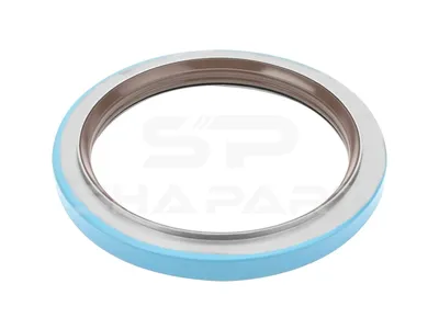 5.30101 Oil seal, d: 125 mm, D: 160 mm, H: 17 mm