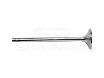5.40009 Exhaust valve, D1: 9 mm, D2: 42.5 mm, L: 158.7 mm, α: 45 °