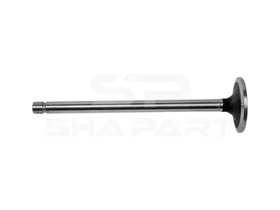 5.40028 Intake valve, D1: 10 mm, D2: 45.5 mm, L: 169.4 mm, α: 20 °
