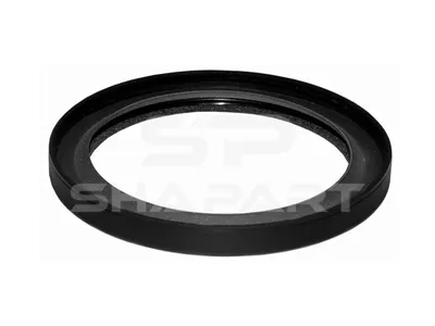 5.40054 Oil seal, d: 100 mm, D: 124 mm, H: 12 mm