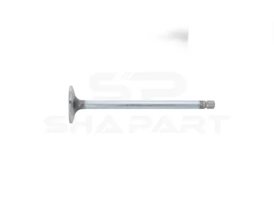 5.40700 Intake valve