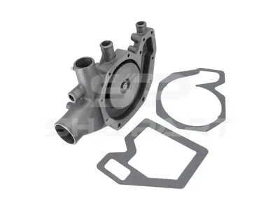 5.41002 Water pump