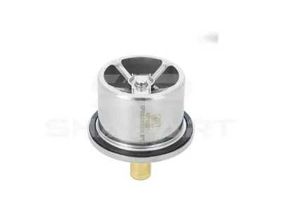 5.41024 Thermostat, with o-ring, 87 °C