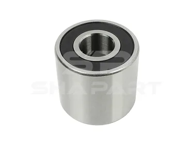 5.41055 Water pump bearing