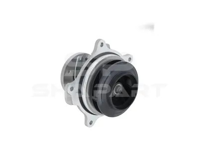 5.41074 Water pump