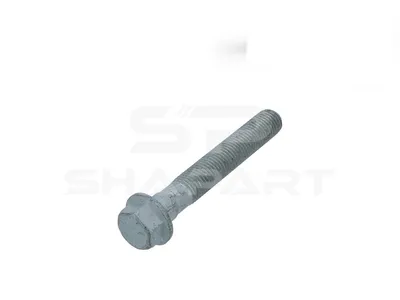 5.45199 Screw, M16 x 2, SW: 21, L: 122 mm, 10.9