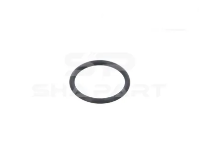 5.62072 O-ring, d: 23.5 mm, S: 2.55 mm