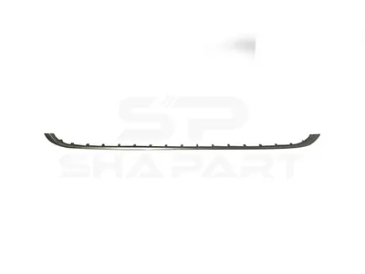 5.64196 Strip, front grill