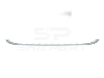 5.64199 Strip, front grill
