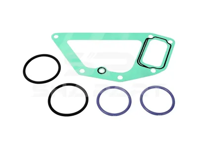 5.94125 Gasket kit, water pump