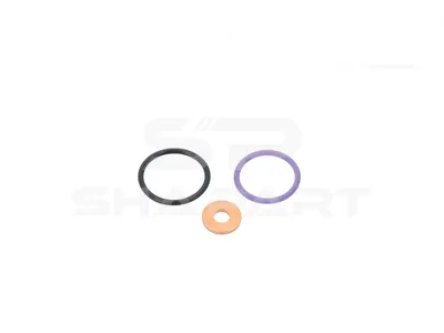 5.94900 Seal ring kit, injection valve