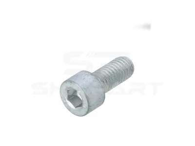 6.00217 Screw