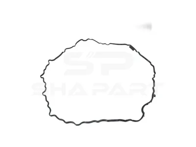 6.00307 Valve cover gasket