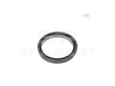 6.00313 Oil seal, crankshaft