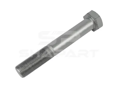 6.11231 Screw, M24 x 2, LTh: 60 mm, Lu: 160 mm, SW: 36, 10.9