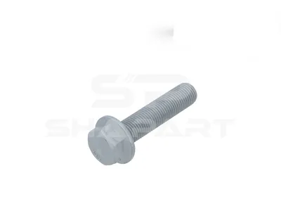 6.14071 Screw, M14 x 1,5, SW: 20, L: 60 mm, 10.9