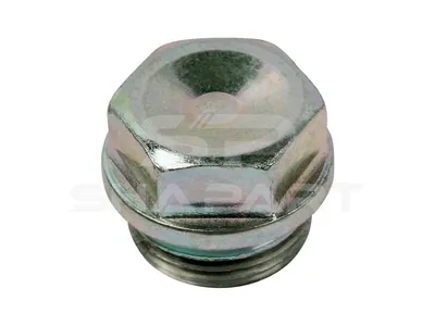 6.20403 Oil drain plug, M22 x 1,5, LTh: 14 mm