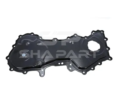 6.20601 Timing case cover