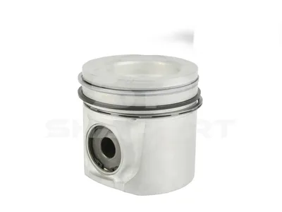 6.21432 Piston, complete with rings, D: 123 mm, L: 120.3 mm