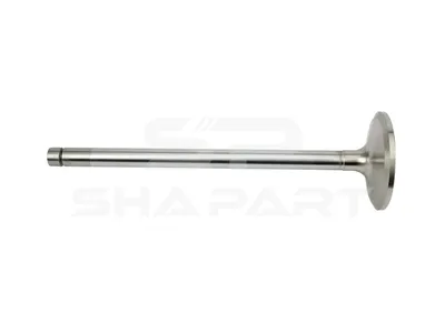 6.22050 Intake valve, D1: 12 mm, D2: 60 mm, L: 204.4 mm, α: 30 °