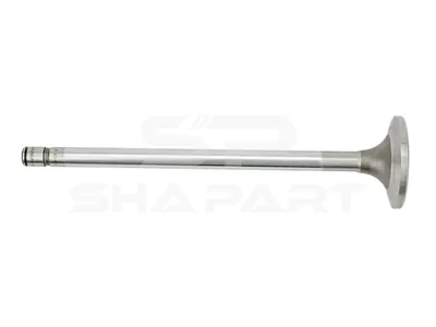 6.22053 Intake valve, D1: 9.5 mm, D2: 43 mm, L: 176.6 mm, α: 20 °