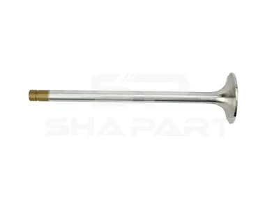 6.22070 Exhaust valve, D1: 12 mm, D2: 52 mm, L: 205.1 mm, α: 30 °