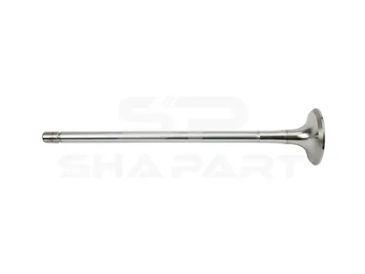 6.22071 Exhaust valve, D1: 8 mm, D2: 38 mm, L: 185.5 mm, α: 45 °