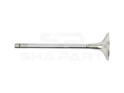 6.22074 Exhaust valve, D1: 9 mm, D2: 48 mm, L: 163.1 mm, α: 45 °