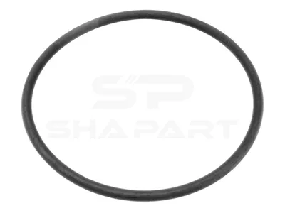 6.30061 O-ring, d: 106 mm, S: 5.3 mm