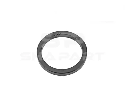 6.30071 Seal ring, d: 48.9 mm, D: 60.1 mm, H: 7 mm