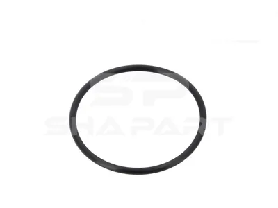 6.30073 O-ring, thermostat, d: 64 mm, S: 3.5 mm