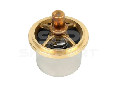 6.30309 Thermostat, 69 °C