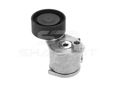 6.31012 Belt tensioner, D: 16.9 mm, W: 31 mm