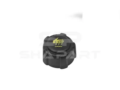 6.35631 Cap, expansion tank, 1.6 bar