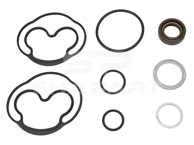 6.91450 Repair kit, servo pump