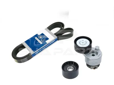 6.92409 Belt tensioner kit, with multiribbed belt