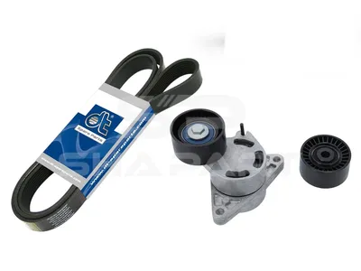 6.92411 Belt tensioner kit, with multiribbed belt