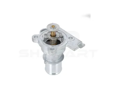 7.00077 Thermostat, complete