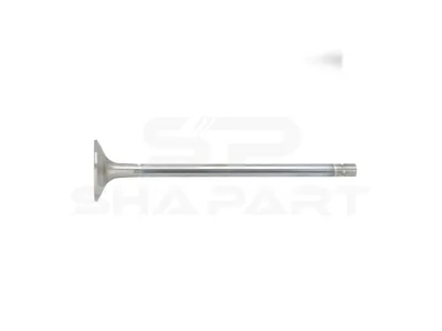 7.00263 Exhaust valve