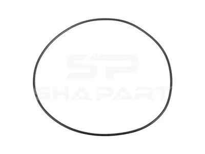 7.32241 O-ring, d: 163 mm, S: 3 mm