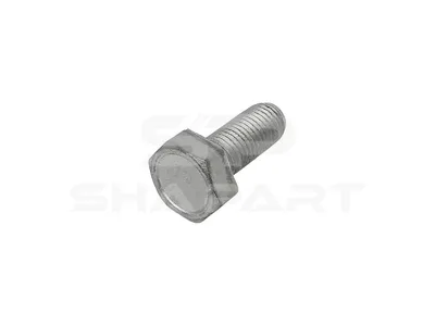 7.36054 Screw, M10 x 1,25, L: 25 mm