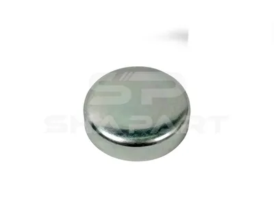 7.50540 Drain plug, D: 40 mm