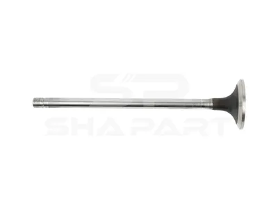 7.51202 Intake valve, D1: 10 mm, D2: 47 mm, L: 199.3 mm, α: 30 °