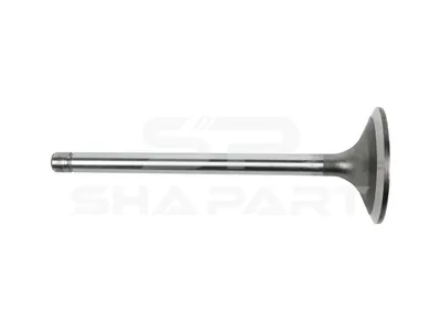 7.51209 Intake valve, D1: 11 mm, D2: 57.5 mm, L: 170 mm, α: 30 °