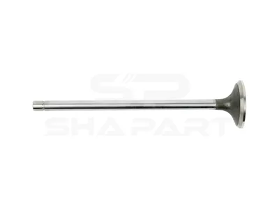 7.51222 Exhaust valve, D1: 10 mm, D2: 46 mm, L: 198.1 mm, α: 45 °