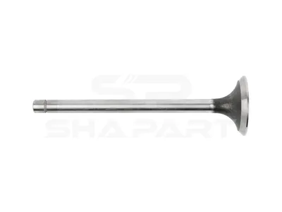 7.51229 Exhaust valve, D1: 10.9 mm, D2: 47.9 mm, L: 169.9 mm, α: 45 °
