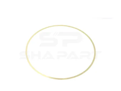 7.54504 Shim, S: 0.1 mm