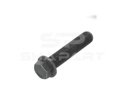 7.54543 Connecting rod screw