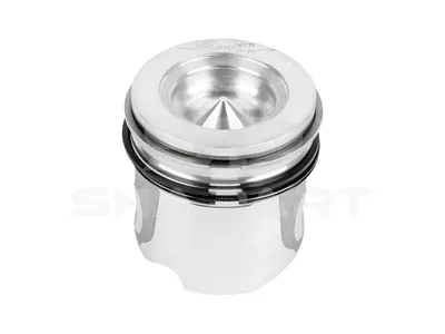 7.54659 Piston, complete with rings
